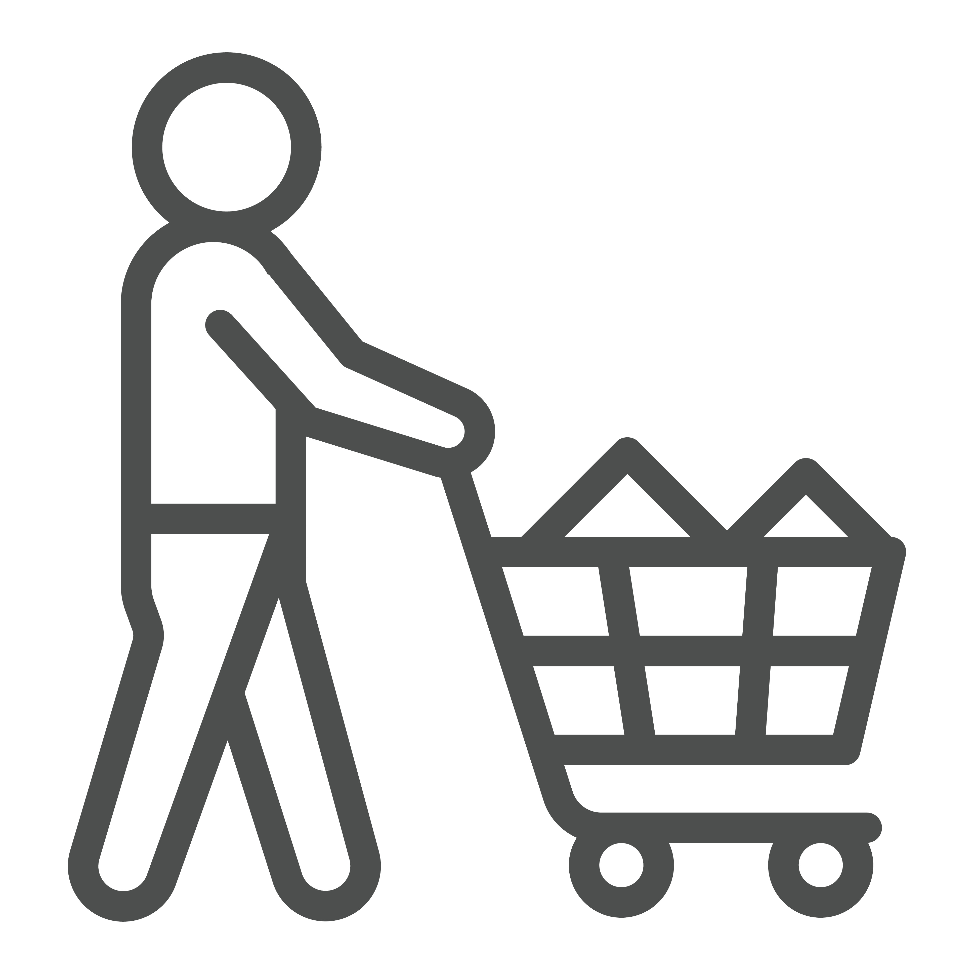 Shopping Icon